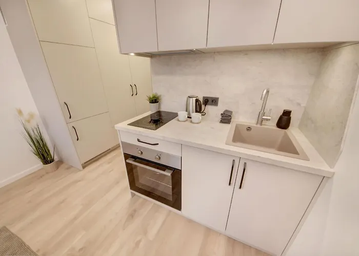 アパートホテル Algirdo Old Town