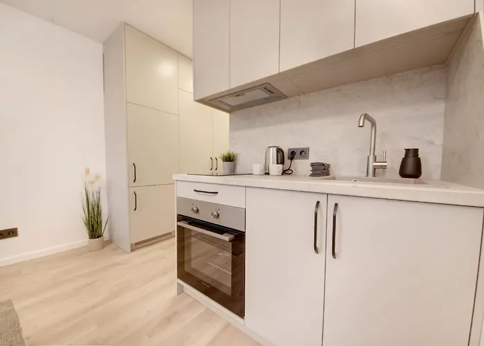 Apartamentų viešbutis Algirdo Old Town